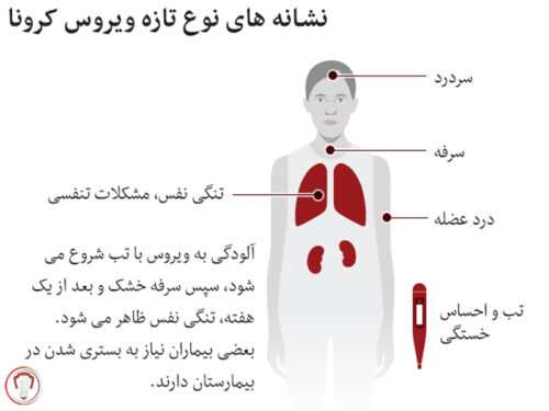 همه چیز در مورد پیدایش، پیشگیری از ویروس کرونا 3 Corona- virus- symptoms