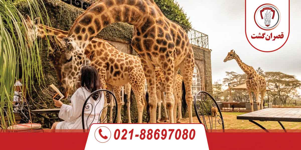 عجیب ترین هتل های دنیا در 2024