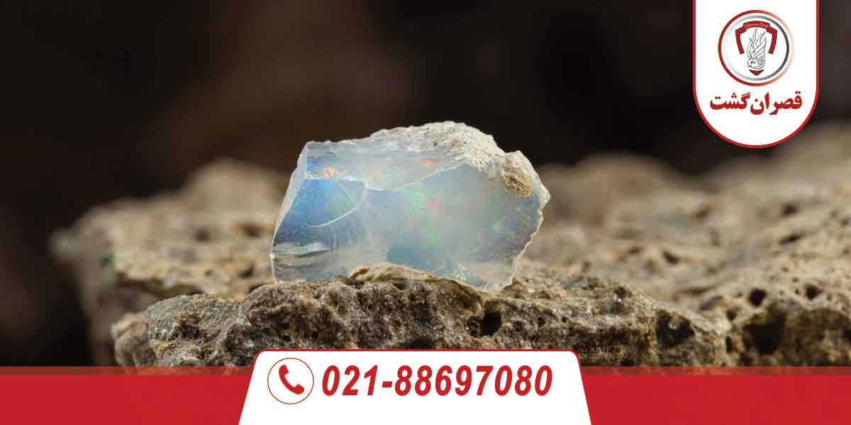 سوغات استرالیا