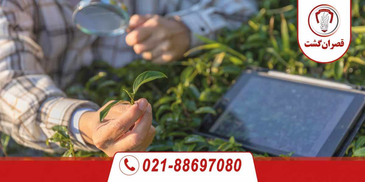 سوغات دوشنبه 