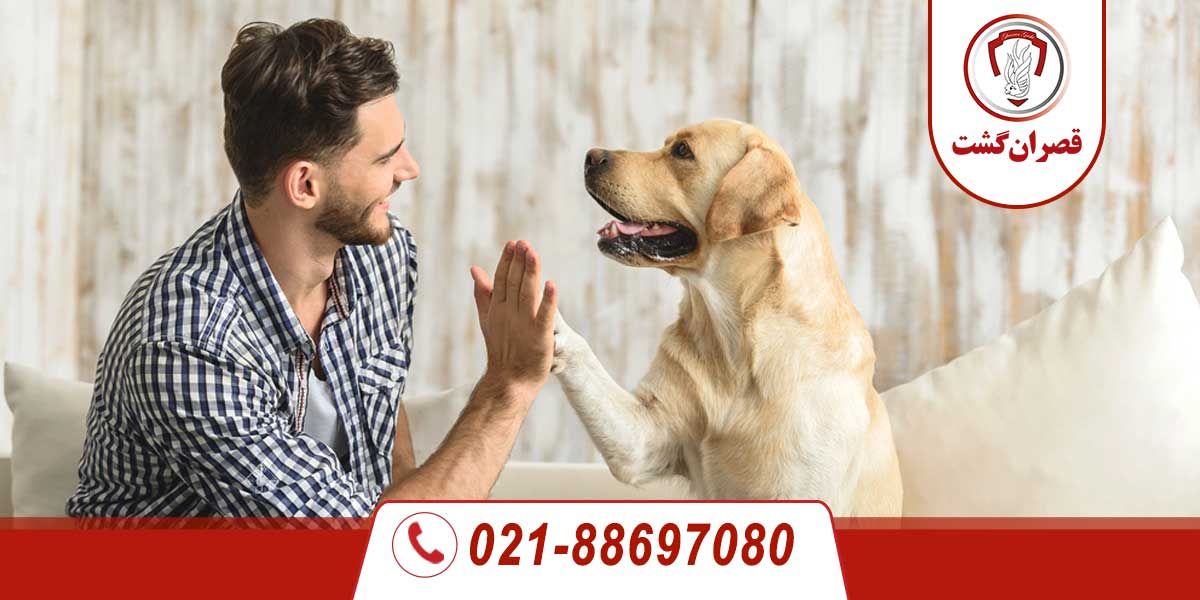 قوانین عجیب کشور چین