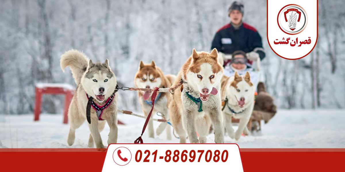 شهر مورمانسک