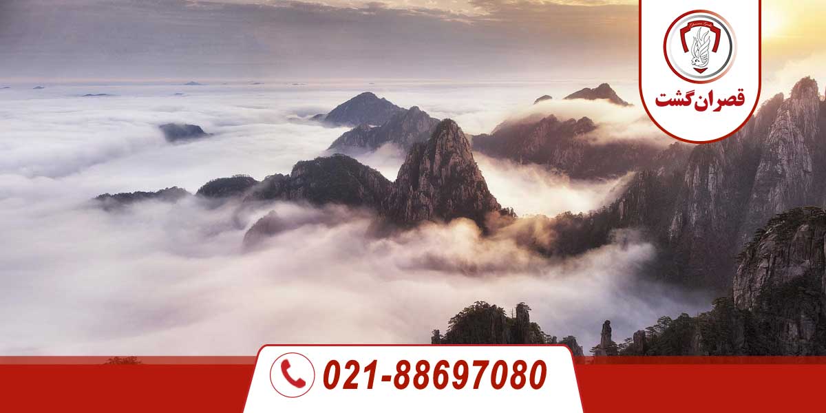 جنگل‌های ابری