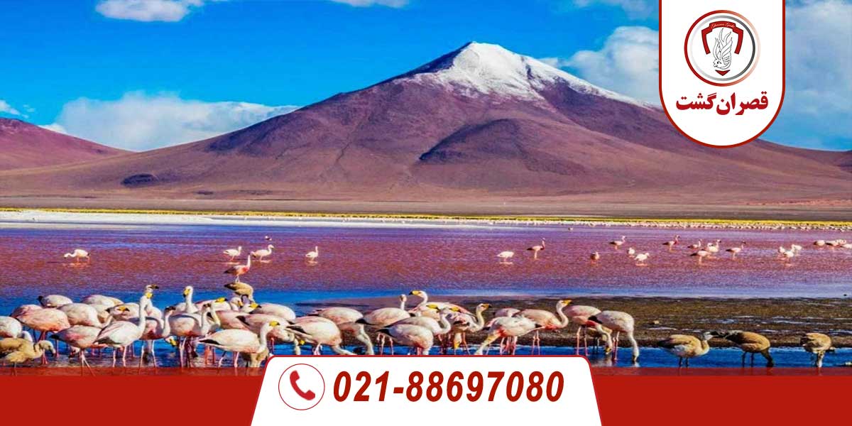 فلامینگوها در بیابان آتاکاما