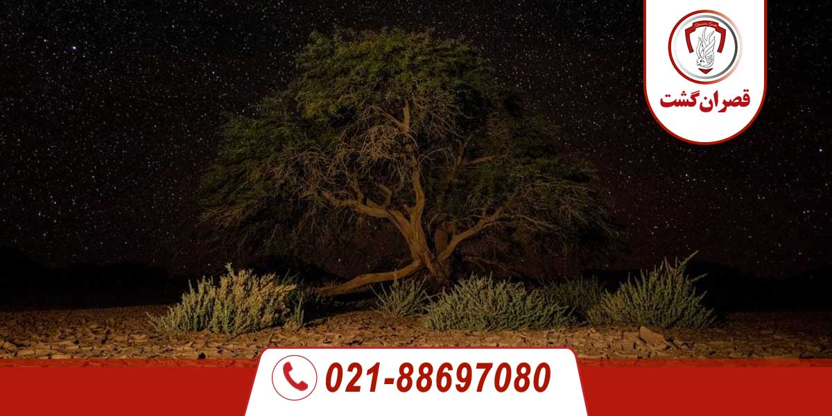 star night atakama desert