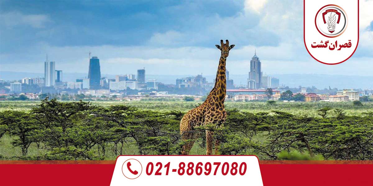 تور-کنیا-9-شب